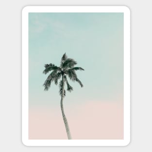 Palm, Summer, Neutral, Beach art, Tropical, Modern art, Minimalistic, Modern Sticker